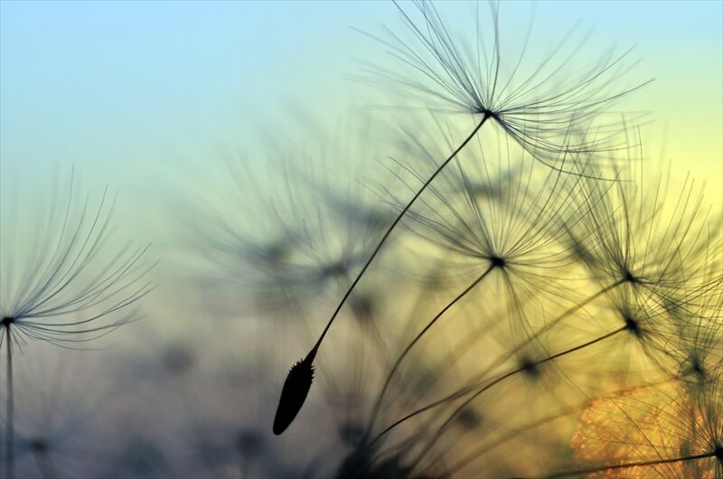 low_bg3